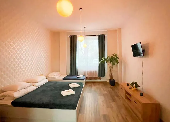 Apartament Kutno - Sami Swoi